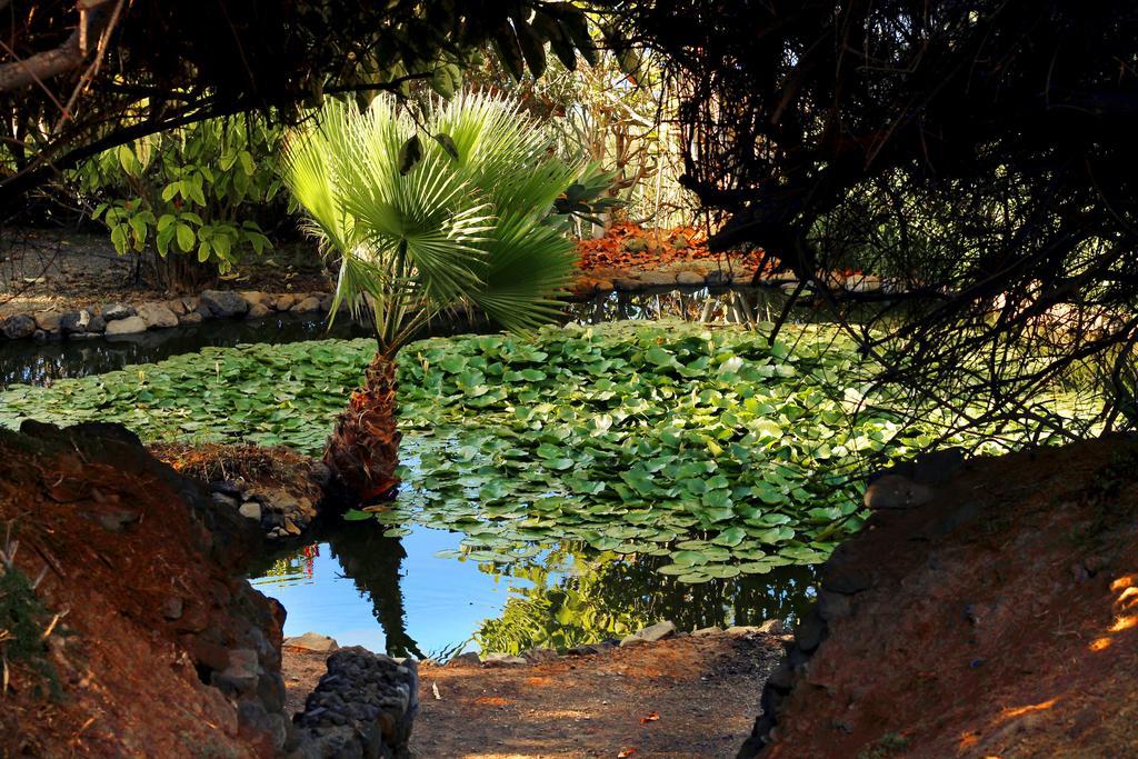 Apartments Finca El Rincon La Orotava Eksteriør bilde